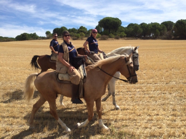 Subidos a los caballos en Portillo